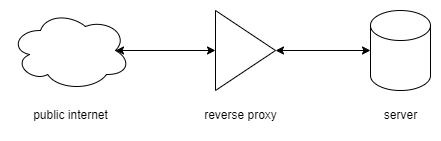 reverse proxy architecture